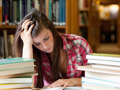 courses 1 Introduction LearnPress – LMS plugin